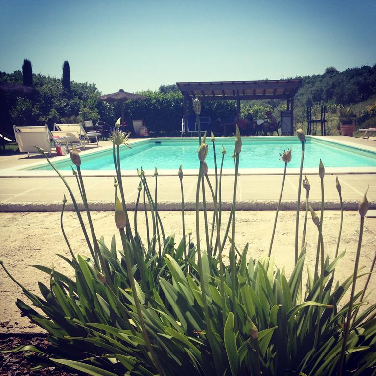 Il Borghetto Andrea Tafi ξενώνας Lamporecchio Εξωτερικό φωτογραφία